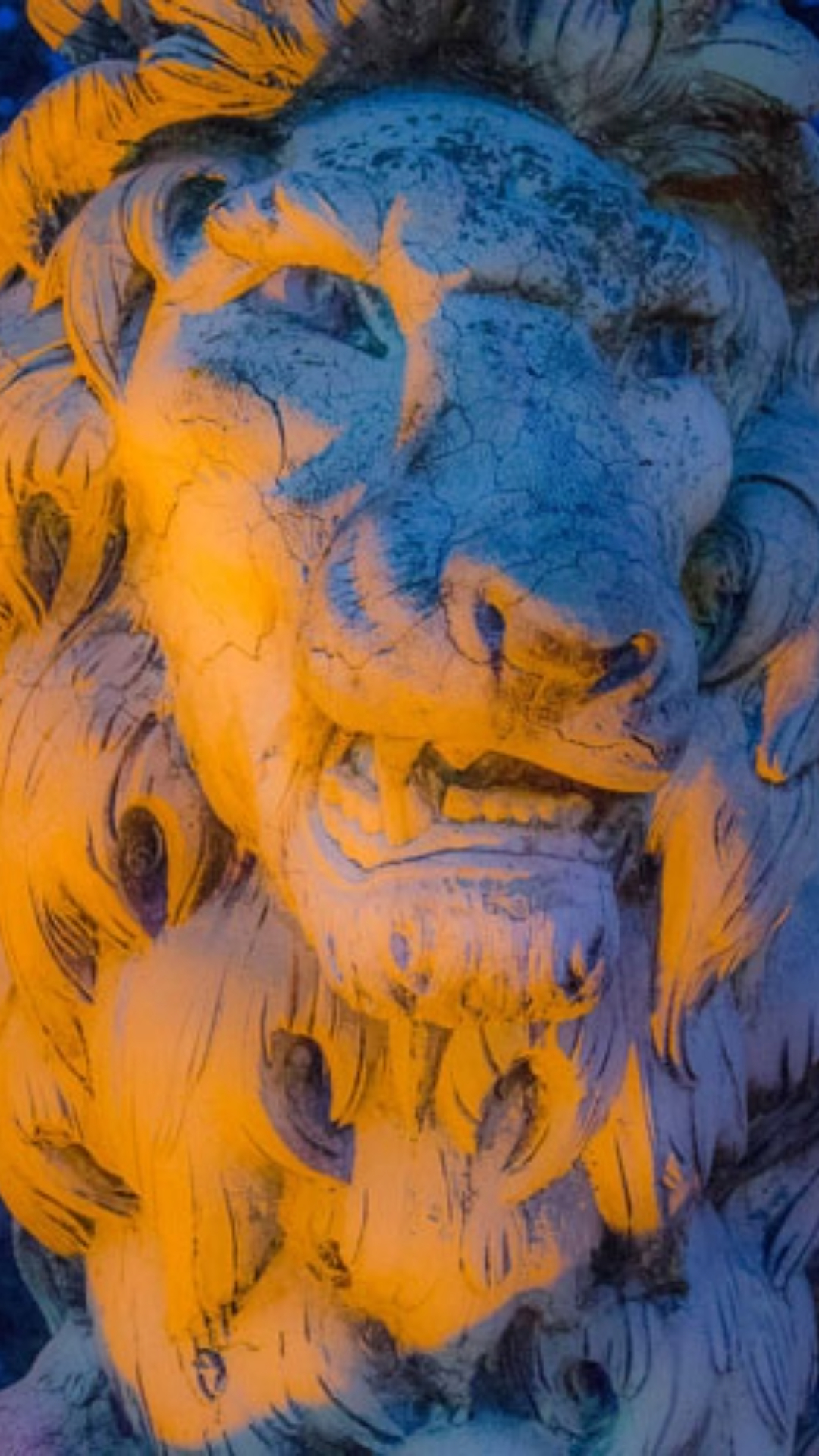 placeholder lion photo