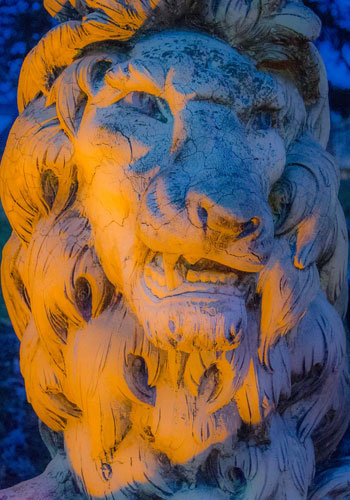 placeholder-lion-350x500_2_3.jpg