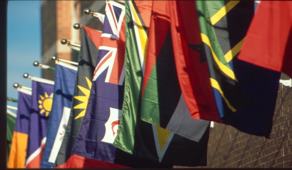 types-of-aid-flags_0.jpg