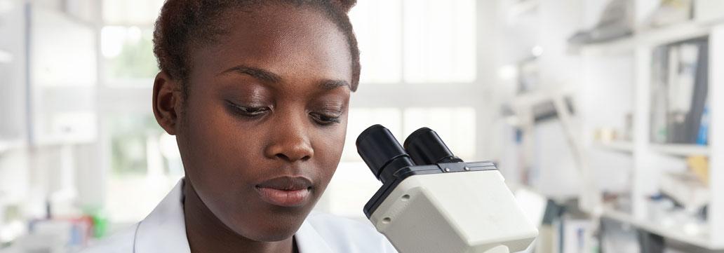 What Is Undergraduate Research Lincoln University