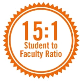 student faculty ratio