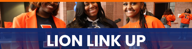 Lion Link Up graphic
